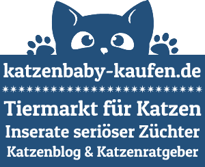 Katzenbaby-kaufen - Tiermarkt - Katzenblog & Katzenratgeber