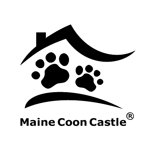 Maine Coon Castle
